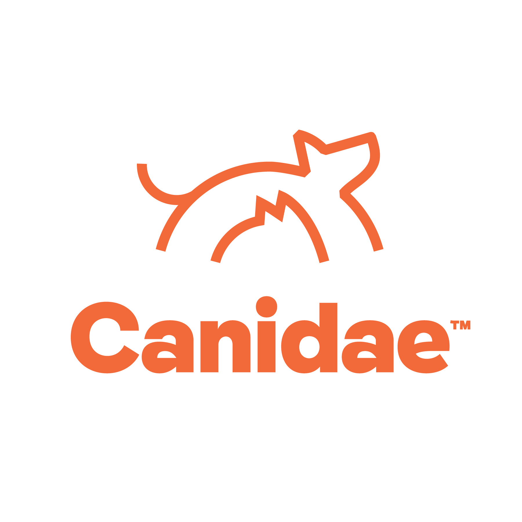 Canidae Pet Food Kneaded Content